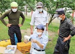 糖度を確認する生産者ら（9月24日、佐久穂町の圃場で）