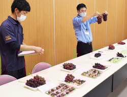 見比べながら出荷基準を確認した検討会