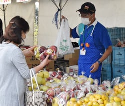 旬の農畜産物を買い求める来場者