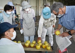 規格を確認する部会員ら