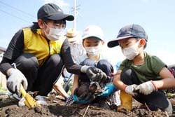 子どもたちとサツマイモ掘りを楽しむJA職員