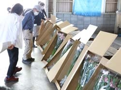 出荷規格を確認する生産者（11日　松本市で）