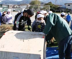 籾が飛び散らないよう改良した「足踏み脱穀機」で昔ながらの農作業を体験する児童ら
