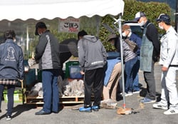 ゴボウを品定めする来場者
