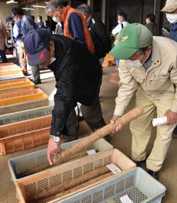 等階級を確認する生産者