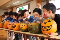 できあがったカボチャお化けを並べて喜び合う園児