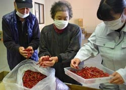 技術員と品質を確認する久保田ご夫妻（中・左）さん