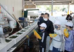 ブロッコリーの製氷機を見学する豊平小3学年の児童
