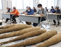 イメージ写真付きの資料で出荷規格を確認する生産者