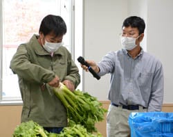 見本のセルリーを使って基準を説明する検査部員