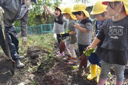 収穫を喜ぶ園児