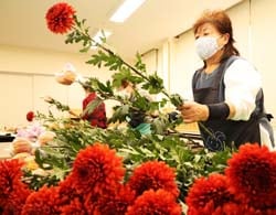 色鮮やかな洋ギクで花束づくりを行う湖北ブロックの部員