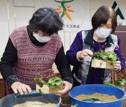 ケースに土を入れる受講生
