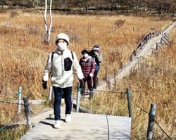 秋の入笠湿原を散策する受講生
