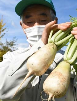 収穫したねずみ大根の出来栄えを確認する西澤さん