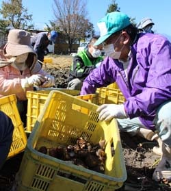 手際よく作業を進める参加者