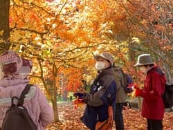紅葉真っ盛りの出早公園でのもみじ狩りを楽しむ受講生
