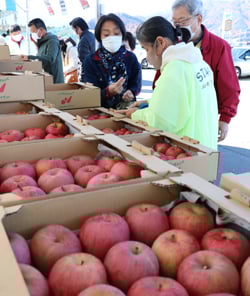 旬のサンふじを買い求める来場客