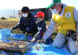 指導を受けながら脱穀を体験する児童