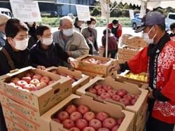 生産者に相談しながらりんごを選ぶ来場客