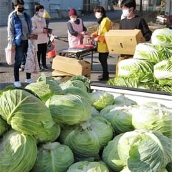利用者らで賑わう野菜即売コーナー
