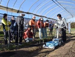 自動収穫機の性能を確認する参加者
