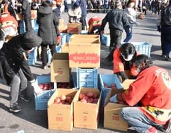 リンゴを箱買いする来場者