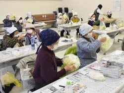 ハクサイに味がなじむように「シャカシャカ」袋を振る女性部員