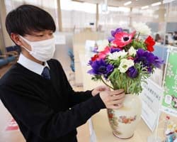 支所窓口にアネモネを飾る職員（JA茅野中央支所）