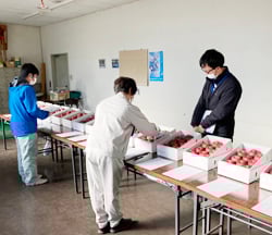 外観を確認する審査員ら