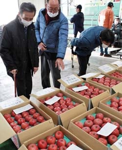 競売に出荷された「サンふじ」を確認する両角町長（左）と佐久間部会長（中央）