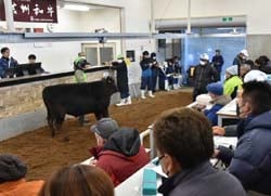 前回市より平均価格が上昇し、活発な取引となった12月市場