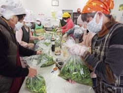 野沢菜漬けを作る参加者