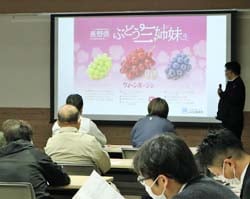 ブドウの概要を説明する担当者
