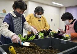 好みの花をあしらい寄せ植えを作るメンバー