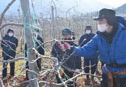 剪定ばさみで実演指導する榑沼課長代理（右）