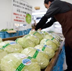 雪中キャベツの初出荷を迎えたJA直売所