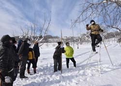 せん定に挑戦する生産者