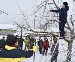 飯綱町内のリンゴ園地で剪定のポイントを学ぶ生産者