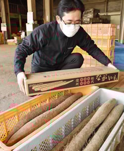 発送に向け品質を確認する担当者
