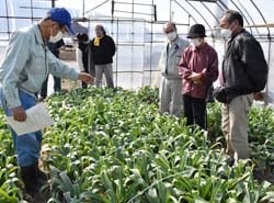 生育状況を説明する生産者