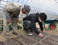 生産者の定植を見学