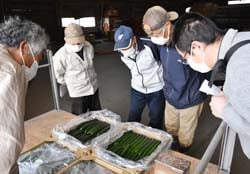 出荷品を見本に荷造り・品質を確認する生産者