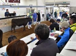 枝肉相場上昇の期待感から活発な取引となった4月市場