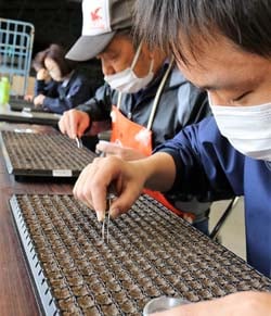 播種作業をする職員