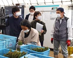 出荷作業を説明する伊藤常務（右）