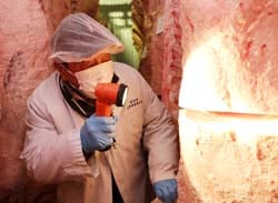 枝肉の品質を念入りに確かめる生産者