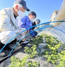 生育状況を確認する部会員