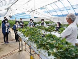 下平さんの話を熱心に聞くJA喬木支所職員