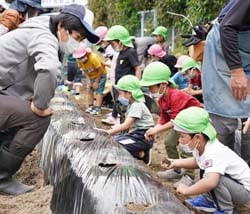 青年部員に教わりながらじゃがいもの植え付けを行う園児（撮影地：飯田市鼎）